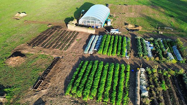 Aerial view of a no-dig market garden with polytunnel